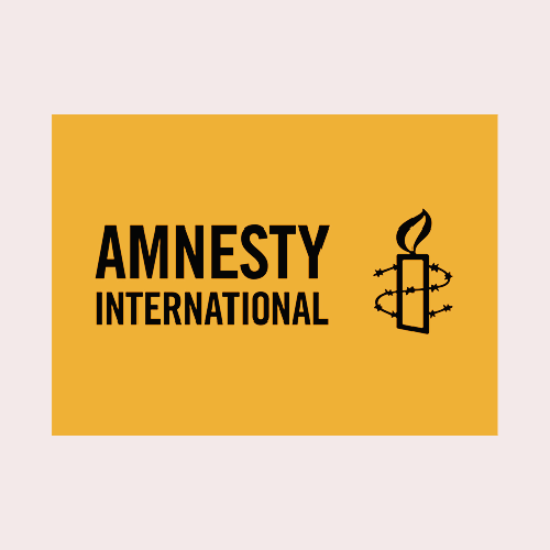 Amnesty