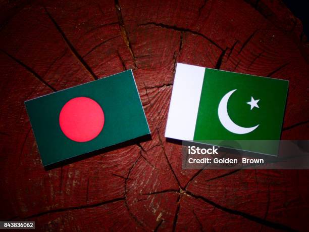 Pakistan vs Bangladesh